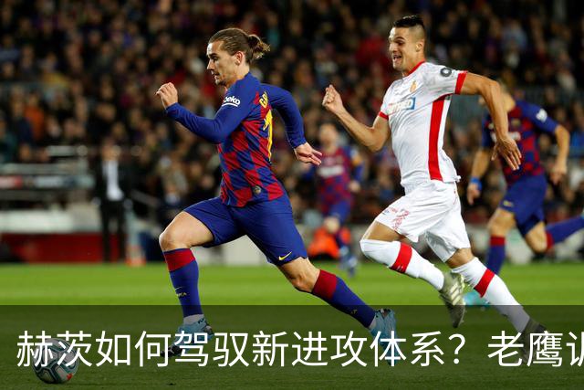 赫茨如何驾驭新进攻体系？老鹰训练营最大疑问浮现